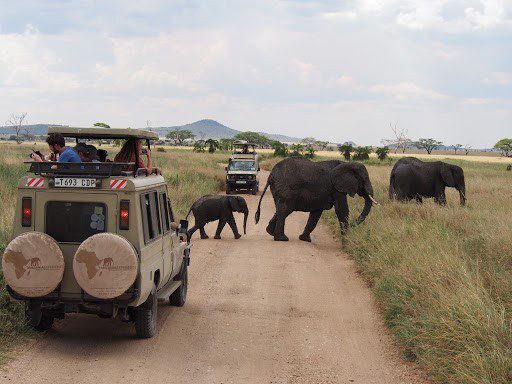 5 Days Serengeti National Park and Ngorongoro Crater