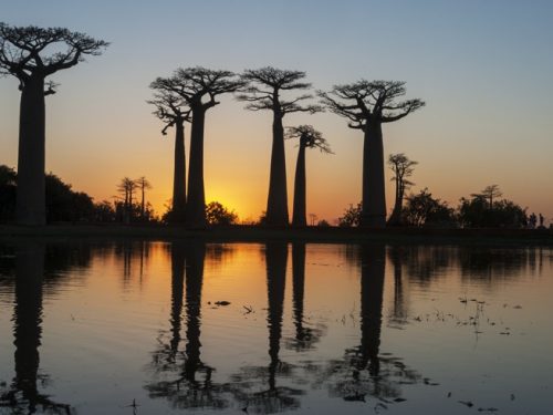 7 Days Amazing Avenue of Baobabs and Lemur Tour in Madagascar