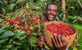 5 Days Ethiopia Coffee Tours