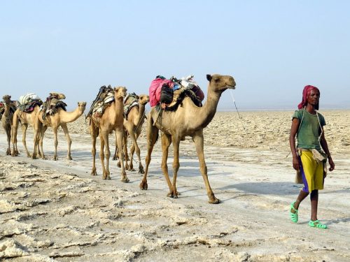 3 Days Danakil Depression Tour