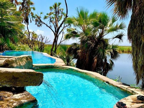 Day Trip Tour to Awash National Park