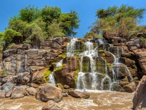Day Trip Tour to Awash National Park