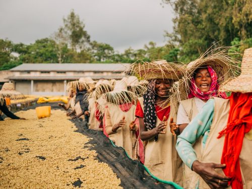 5 Days Ethiopian Combined Tours To Coffee Planation  & Rift valley Lakes