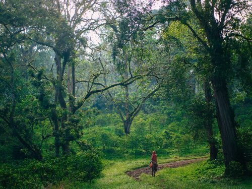 19 Days North and South Ethiopia Tours