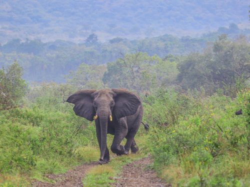 16 Days North and South Ethiopia Tours
