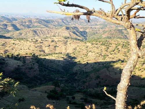 3 Days Simien Mountains National Park Trekking