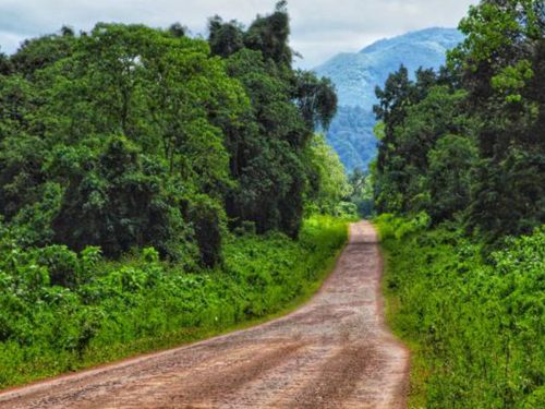6 Days Bale Mountain National Park Trekking