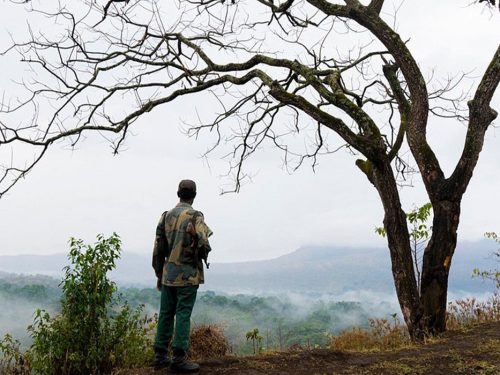 3 Days Chebera Churchura National Park Tour from Jimma